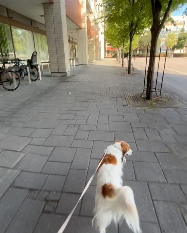 Julkaisu Avonian Instagram-tililtä